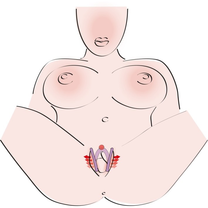 Despartitor Labii Lila