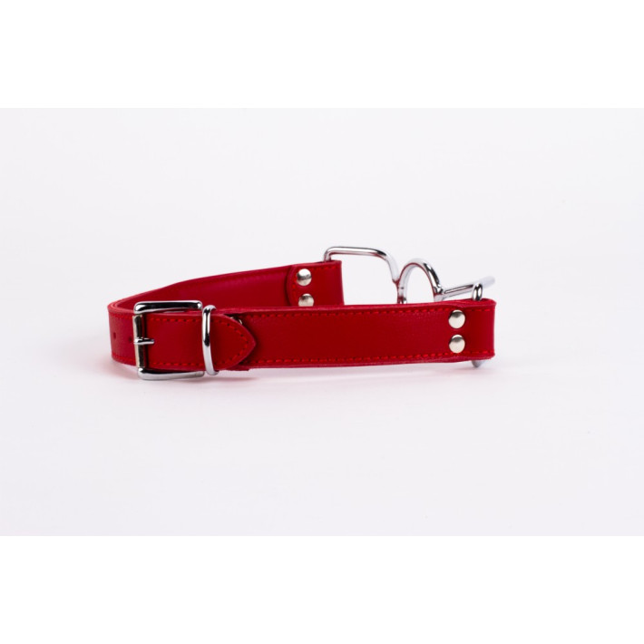 Calf Softy Leather Top And Lamb Leather Padding With Stainless Steel Mouth Piece Red 4