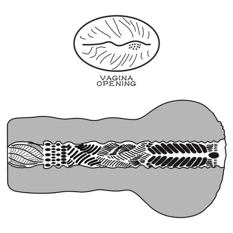 Pagina 7 - Vagine Masturbatoare, Masturbator Vagin Aliens Pie Masturbator 1, Natural, pasiune.ro