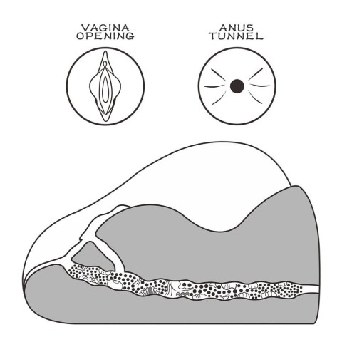 Masturbatoare, Masturbator 2-in-1 Vagin+anus Streetgirls 2, Natural, pasiune.ro