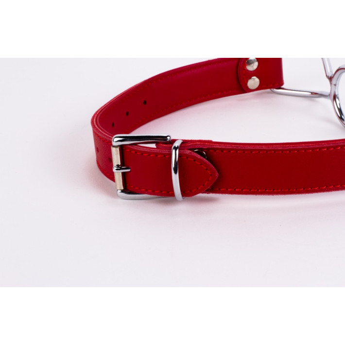 Calf Softy Leather Top And Lamb Leather Padding With Stainless Steel Mouth Piece Red 6