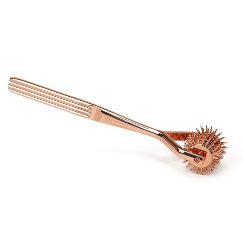 Pagina 4 - Diverse Accesorii, Accesoriu Stimulare Erotica Five-row Wartenberg Pinwheel, Auriu, pasiune.ro