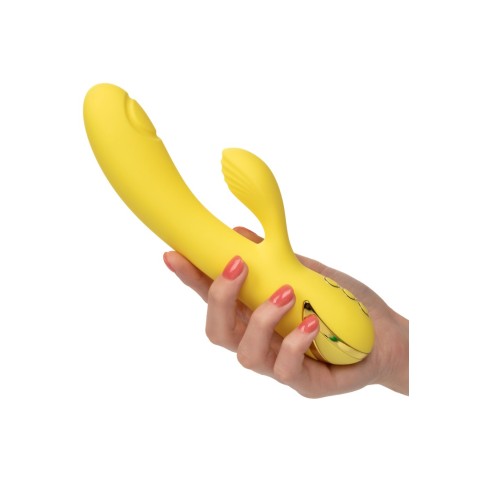 LeFrivole, Vibrator Rabbit San Diego Seduction California Dream, pasiune.ro