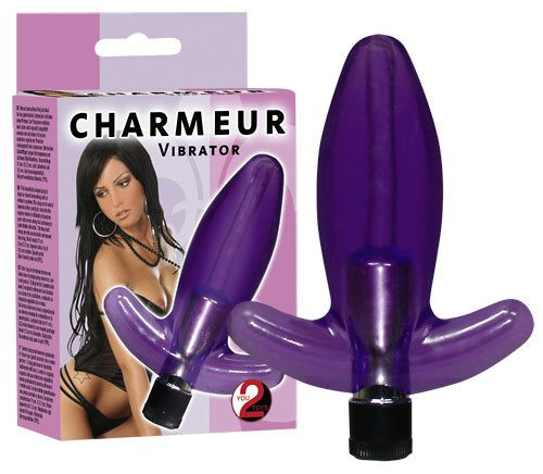 Vibrator Anal Charmeur 11 Cm