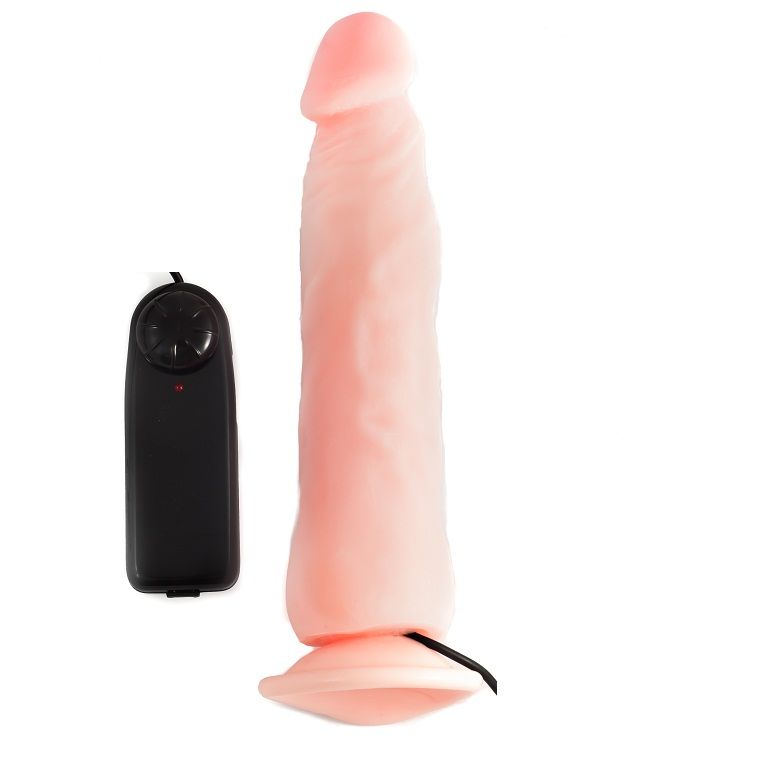 Vibrator Cu Ventuza Rough Personalities  in SexShop KUR Romania